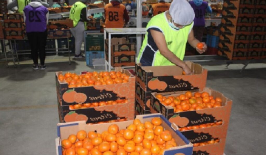 Ofertas de trabajo de empacadores